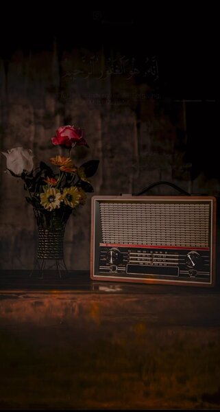 71c5906ef0d039ecdbb581b8772e088c (1).jpg